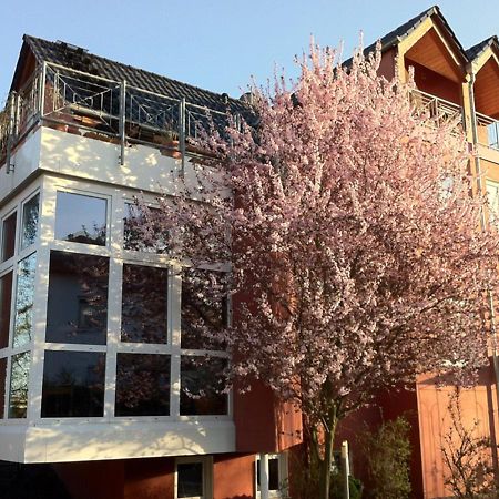 Gaestehaus Kirschgarten Bodenheim Exteriér fotografie